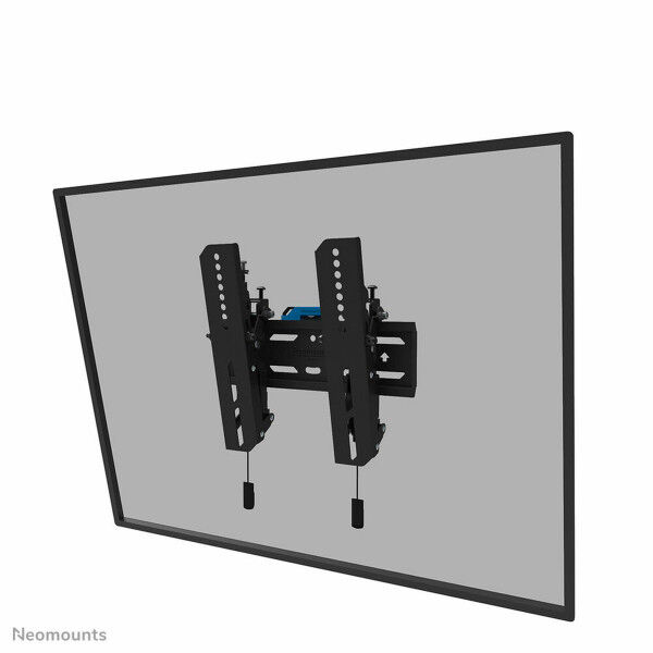 TV laikiklis Neomounts WL35S-850BL12 24-55" 55" 65" 50 kg