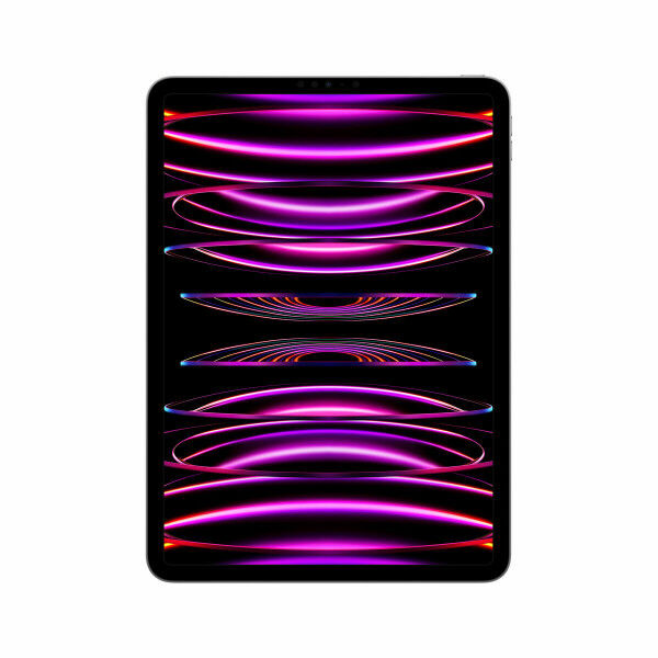 Tablet Apple iPad Pro M2 16 GB RAM 1 TB Grau