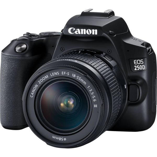 Refleksinė kamera Canon EOS 250D + EF-S 18-55mm f/3.5-5.6 III