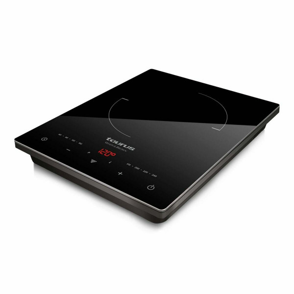 Induction Hot Plate Taurus DARTFIRE DAILY Black 2000 W