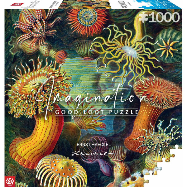 układanka puzzle Cenega Publishing Ernst Haeckel Criaturas marinas 1000 Części