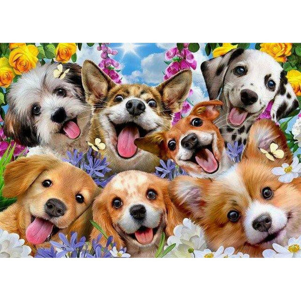 Puzzle Educa Doggy selfie 1000 Stücke