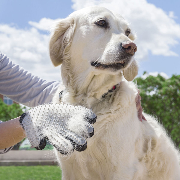 Guante para Cepillar y Masajear Mascotas Relpet InnovaGoods