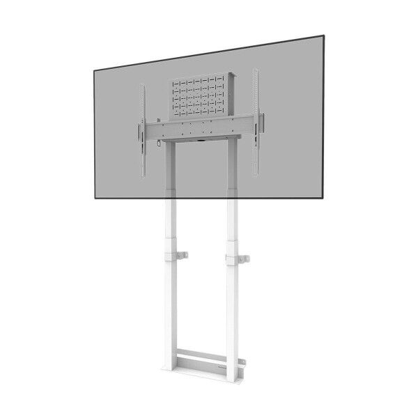 TV laikiklis Neomounts WL55-875WH1